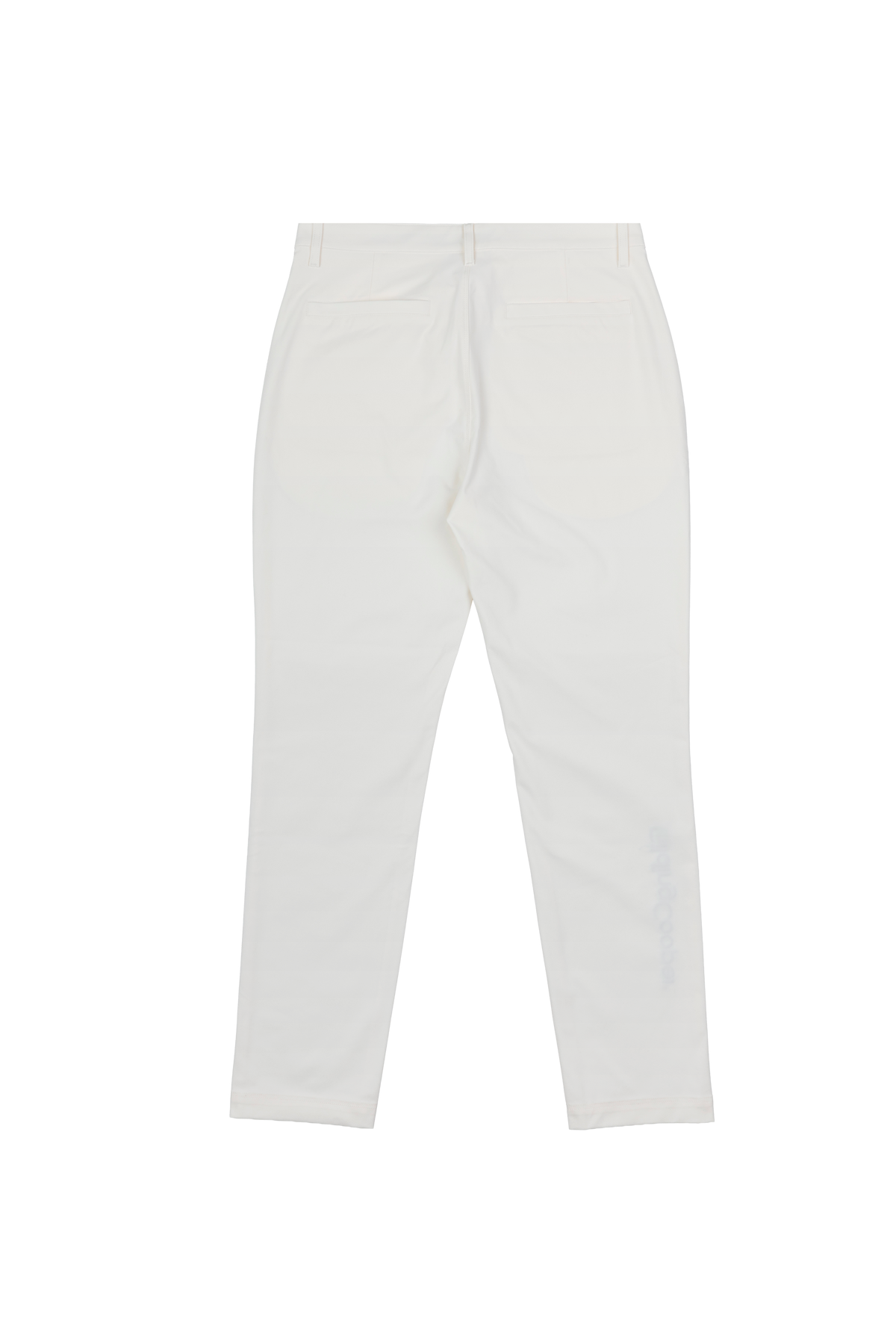 The Baseline Members Pant