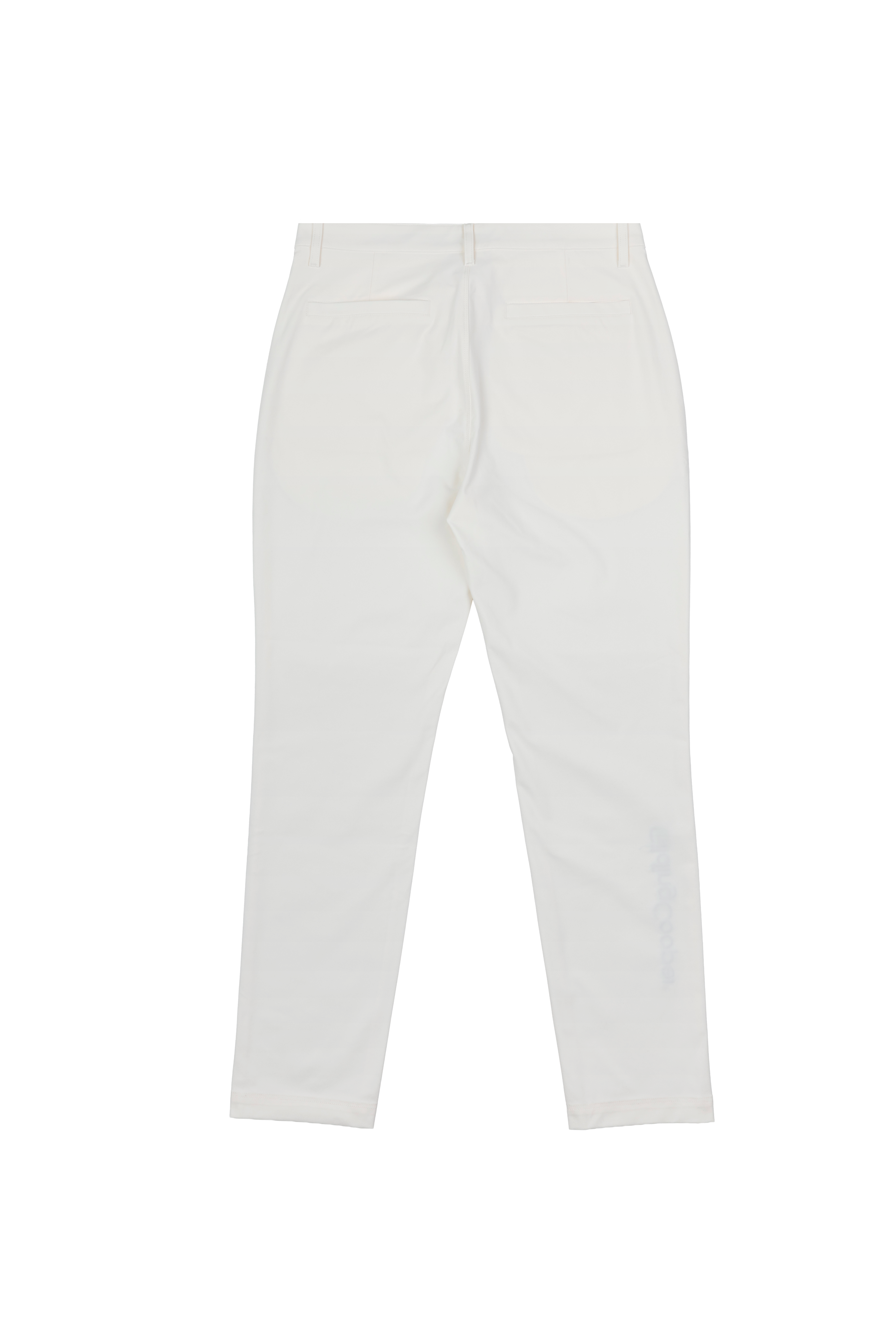 The Baseline Members Pant